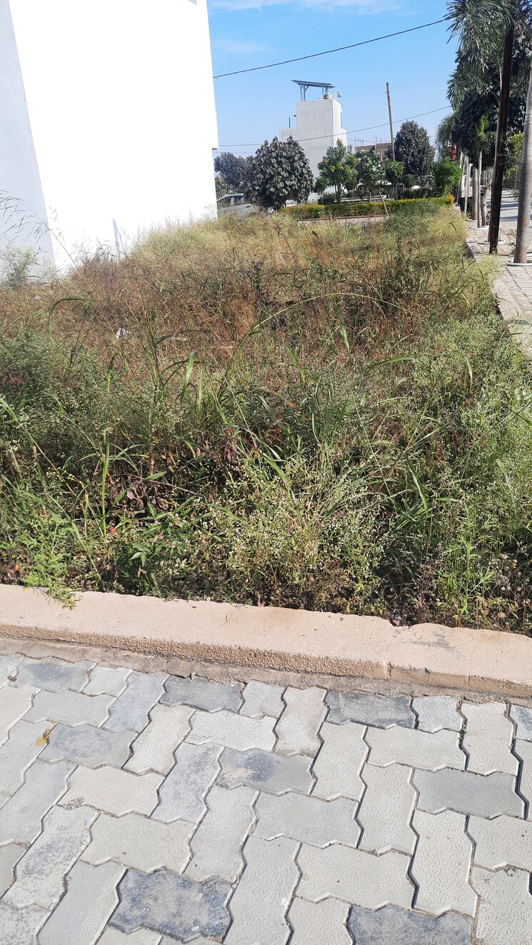 Exterior View, ab bypass road  750 Sq.Yd. Plot In Ab Bypass Road Indore 9581143