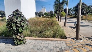  Plot – Exterior View View at Ab Bypass Road - for Sale