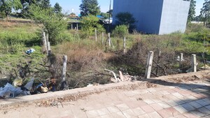 Plot Area in  Plot at Ab Bypass Road – for Sale