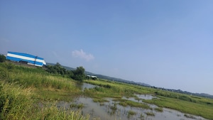 Plot Area in  Plot at Vindhane – for Sale