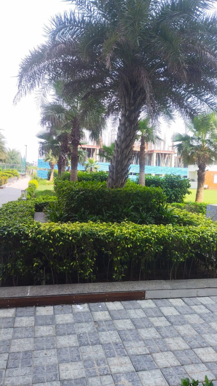 Garden, sector 23 3 Bedroom 1600 Sq.Ft. Apartment In Sector 23 Dharuhera 9581666