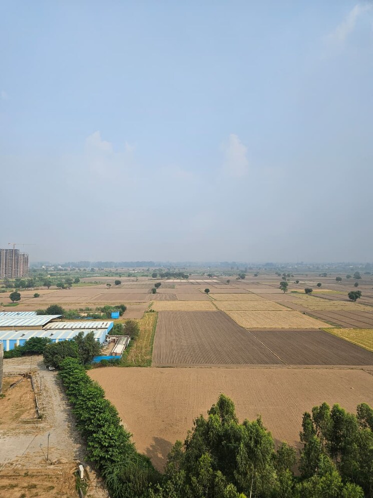 Exterior View, ambala highway 1 Bedroom 700 Sq.Ft. Apartment In Ambala Highway Zirakpur 9581765