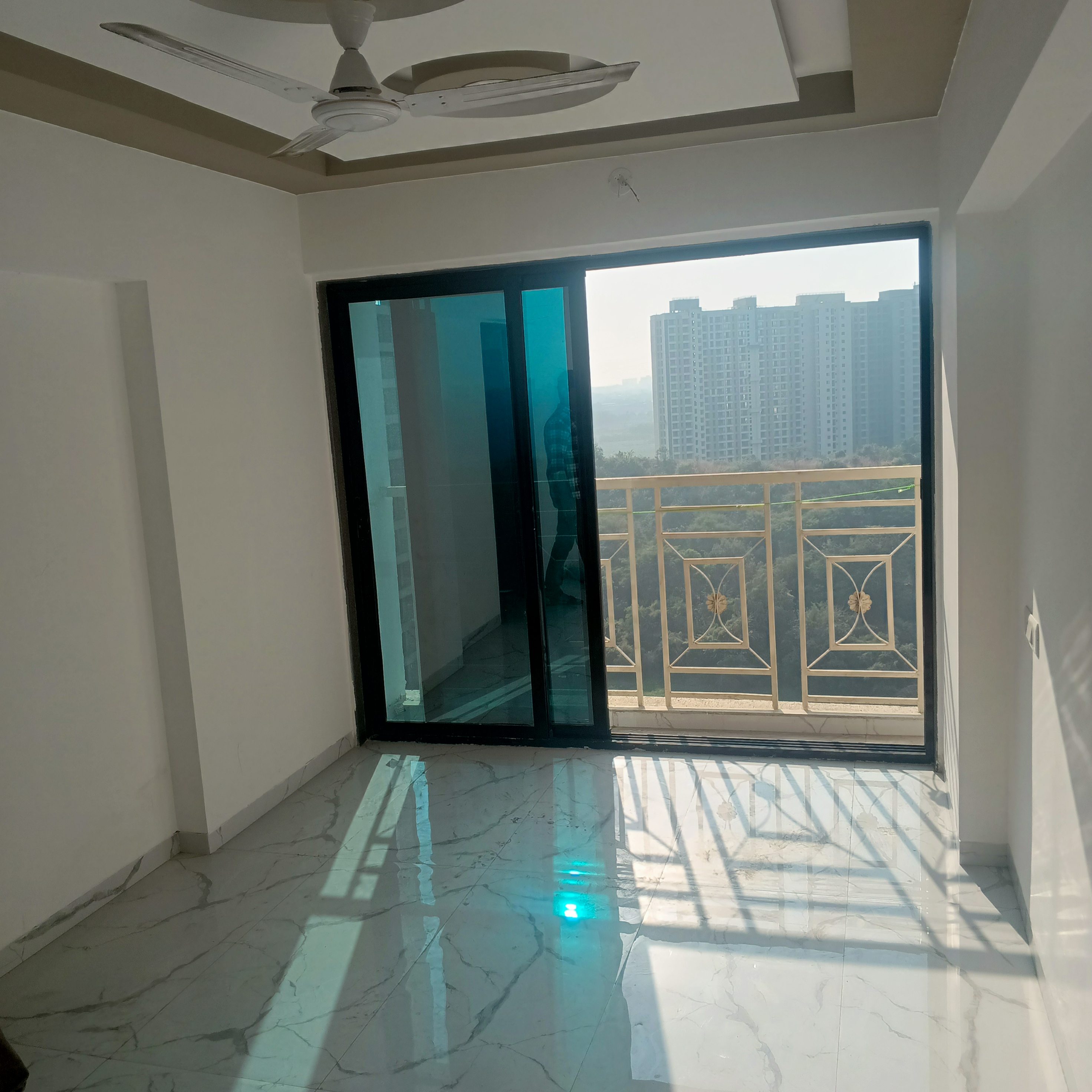 1 BHK Apartment For Rent in Shellproof Gladiolus Tower