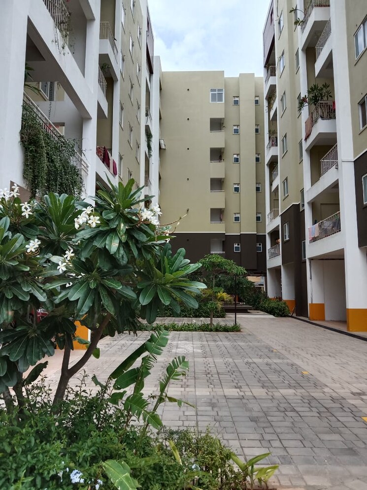 Exterior View, concorde-epitome 3 Bedroom 1500 Sq.Ft. Apartment In Electronic City Phase ii Bangalore 9581921