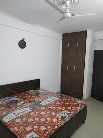2.5 BHK Builder Floor For Rent in Singla South City, Lohgarh