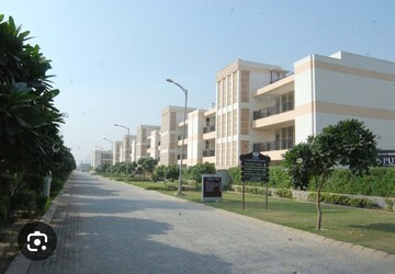 3 BHK Builder Floor For Rent in Puri Vip Floors, Sector 81