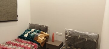 Team Area in  Pg at Sadarpur – for Rent