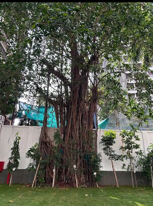 1 BHK Apartment – Garden View at Sugee Atharva, Prabhadevi - for Sale