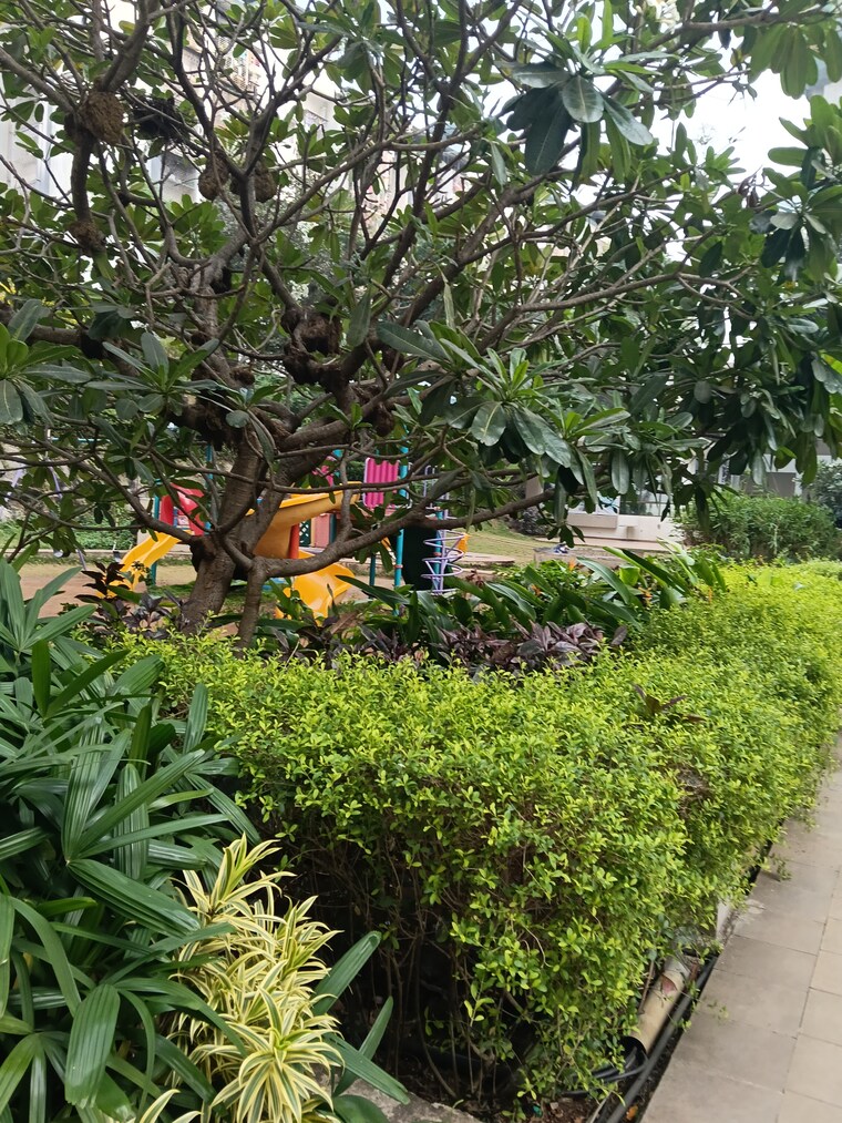 Exterior View, sanghvi-s3-ecocity-spring 1 Bedroom 450 Sq.Ft. Apartment In Mira Road Thane 9582215