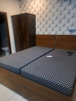  Pg For Rent in Ambala Highway