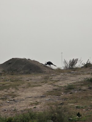  Plot For Sale in Jubilee Hills