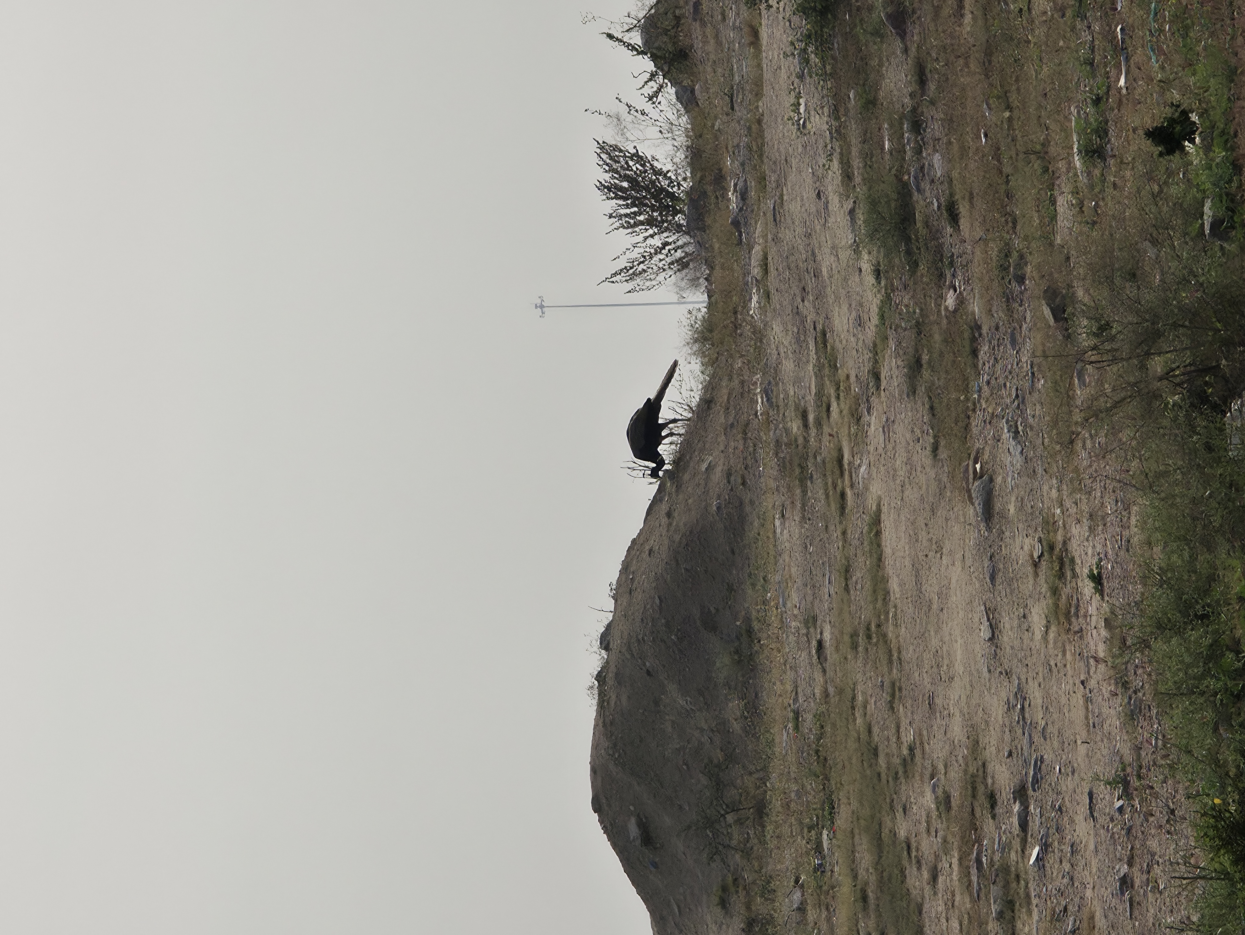 Plot For Sale in Jubilee Hills