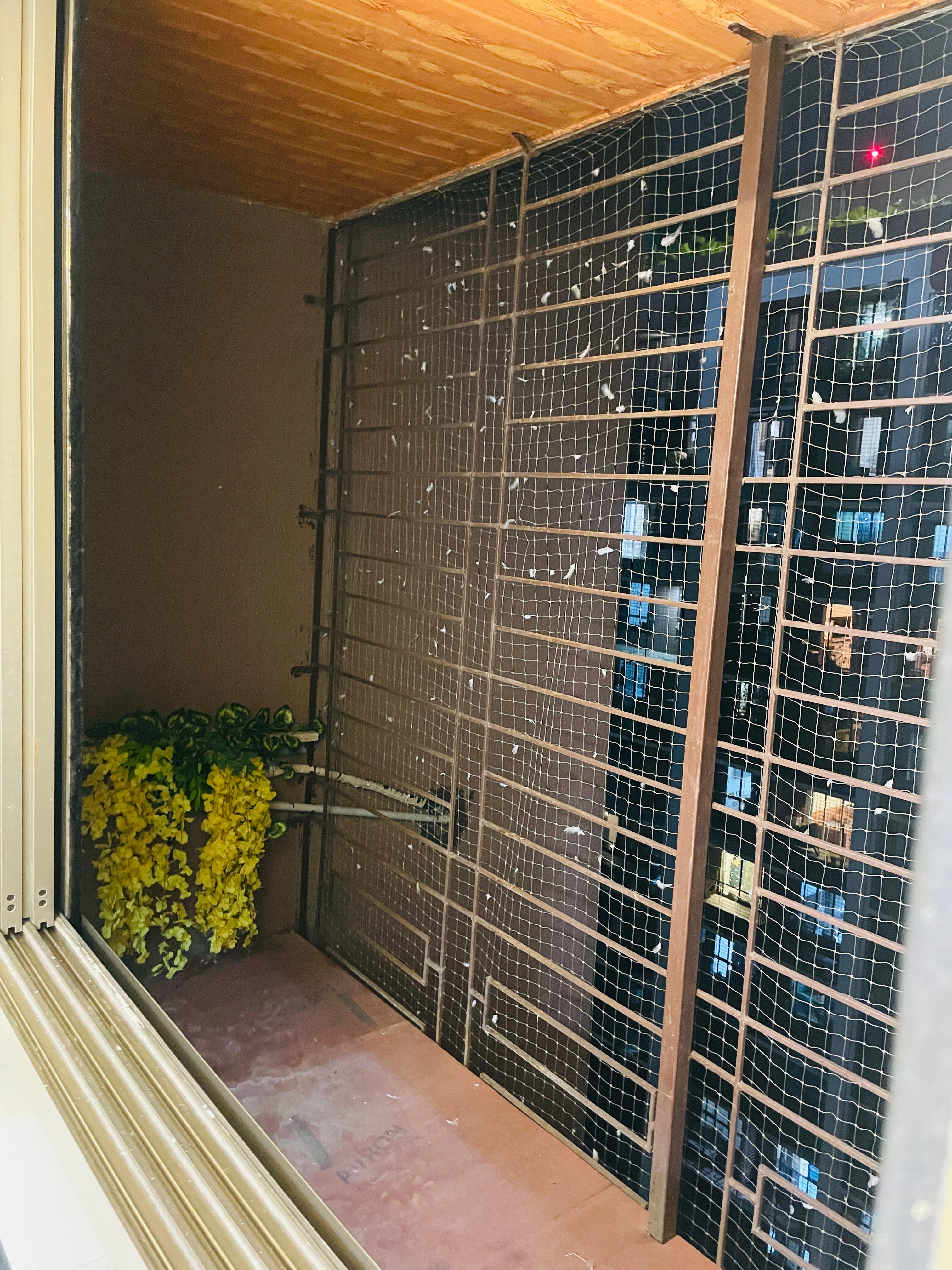 1 BHK 445 Sq.Ft. Apartment in Upper East 97