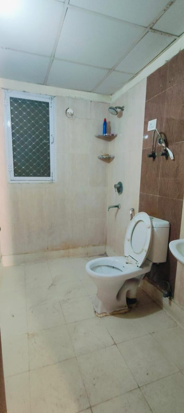 Bathroom, amrapali-platinum 3 Bedroom 1775 Sq.Ft. Apartment In Sector 119 Noida 9582521