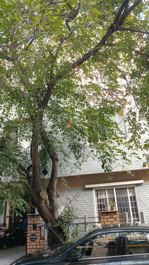 2.5 BHK Independent House – Garden View at Hsr Layout Sector 2 - for Sale