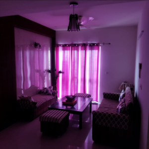 Living Room in 3 BHK Builder Floor at BPTP District Phase 2, Sector 84 – for Sale