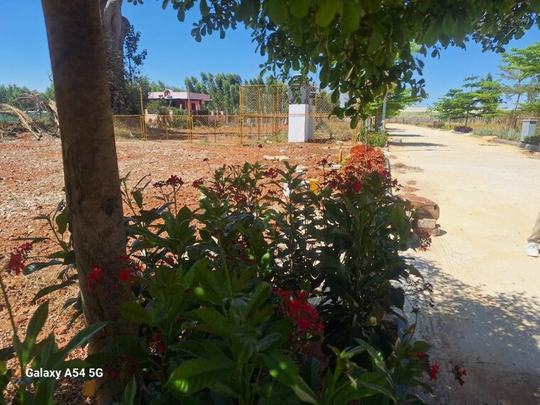 Garden, anekal  1500 Sq.Ft. Plot In Anekal Bangalore 9582889