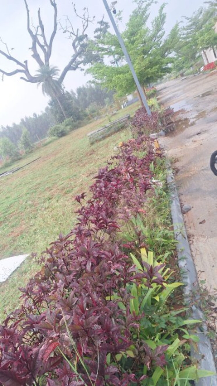 Garden, anekal  1500 Sq.Ft. Plot In Anekal Bangalore 9582889