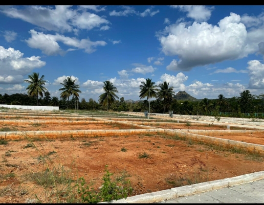 Plot For Sale in Sp Luxury Plots 
