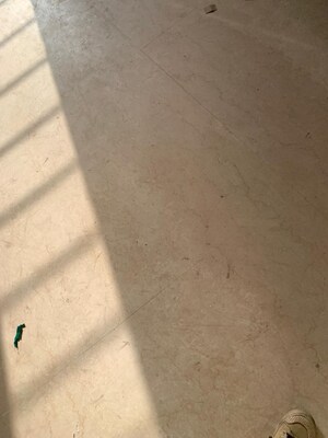 Parking in 3 BHK Builder Floor at Sector 85 – for Rent