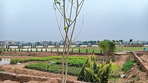  Plot For Sale in Panchkula Urban Estate