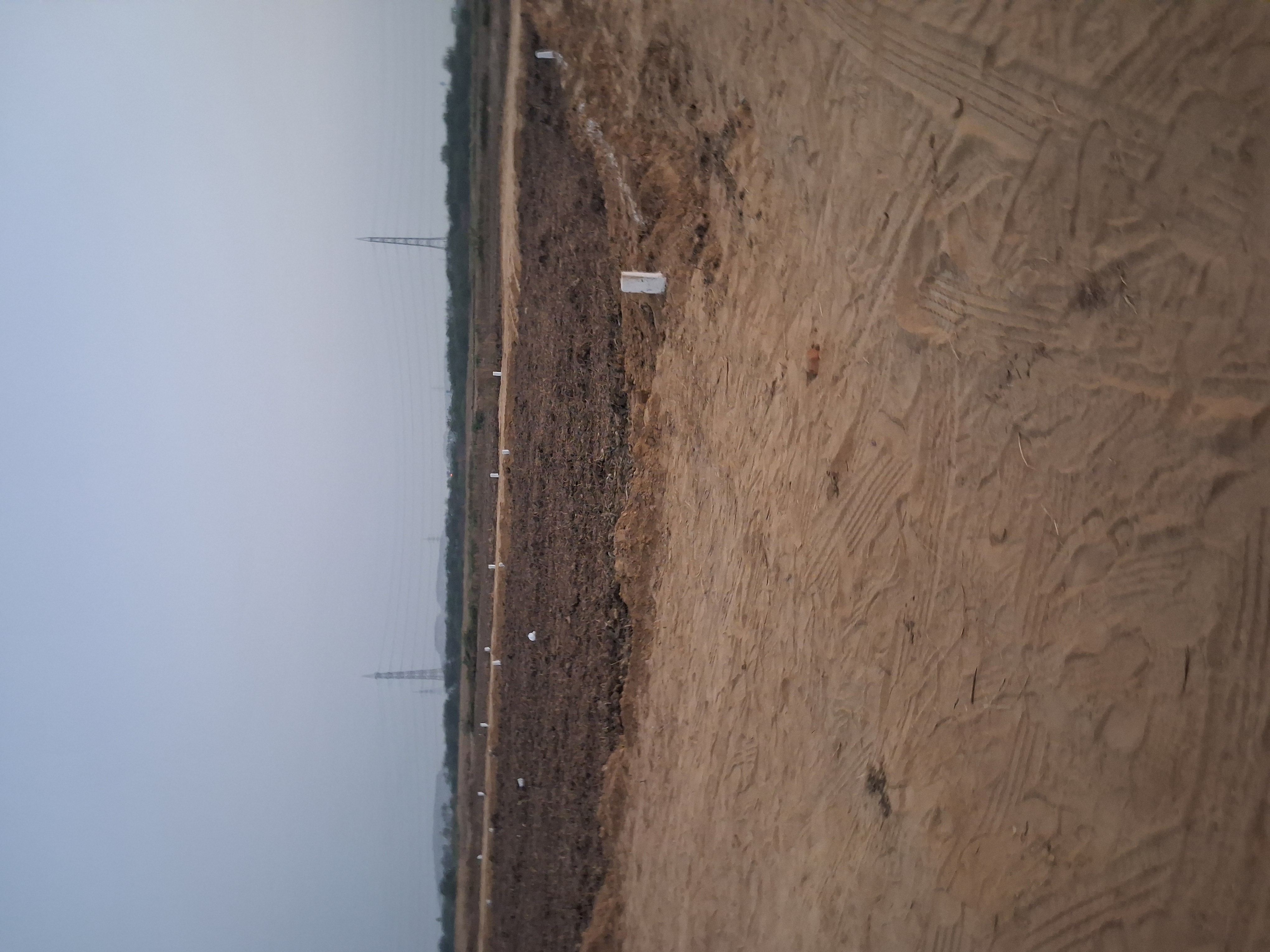 Plot For Sale in Sohna