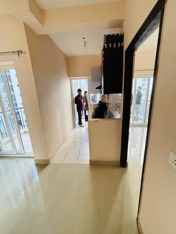 1 BHK Apartment For Rent in Amrapali Dream Valley, Tech Zone 4 Greater Noida