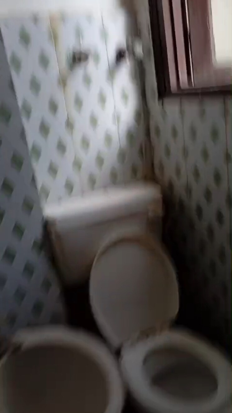 Bathroom, savitri nagar 2 Bedroom 1000 Sq.Ft. Builder Floor In Savitri Nagar Delhi 9583444