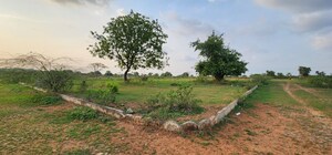 Plot Area in  Plot at Kothur – for Sale