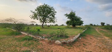 Plot Area in  Plot at Kothur – for Sale