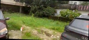 Plot Area in  Plot at Hesag – for Sale