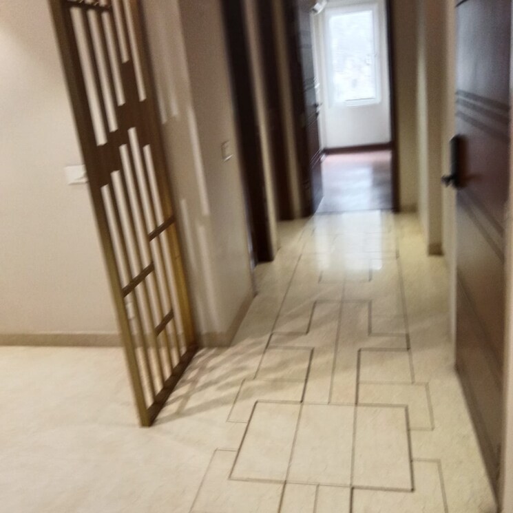 Living Room, gulmohar park 3 Bedroom 230 Sq.Yd. Builder Floor In Gulmohar Park Delhi 9583727