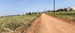 Plot For Sale in Patrapada