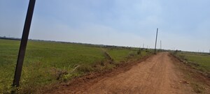 Plot Area in  Plot at Patrapada – for Sale