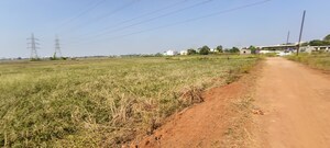 Plot Area in  Plot at Patrapada – for Sale