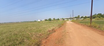Plot Area in  Plot at Patrapada – for Sale
