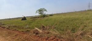 Plot Area in  Plot at Patrapada – for Sale