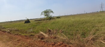 Plot for Sale in Patrapada, Bhubaneswar