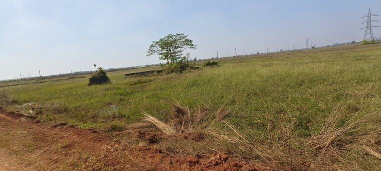 undefined, patrapada  1500 Sq.Yd. Plot In Patrapada Bhubaneswar 9583866