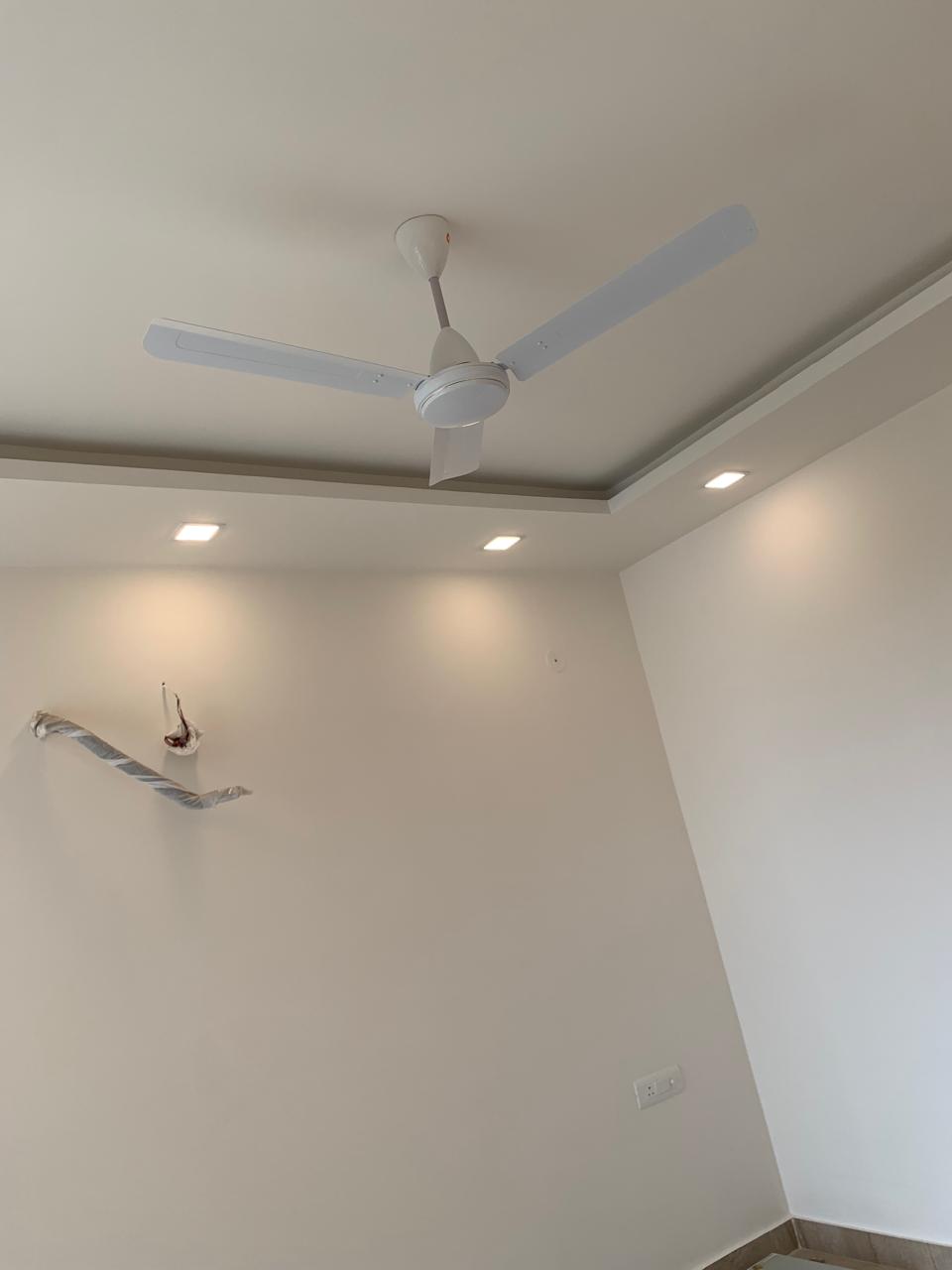 3 BHK Builder Floor For Rent in Builder Floor