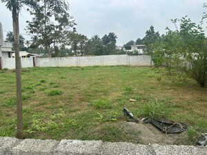 Plot Area in  Plot at Kechery – for Sale