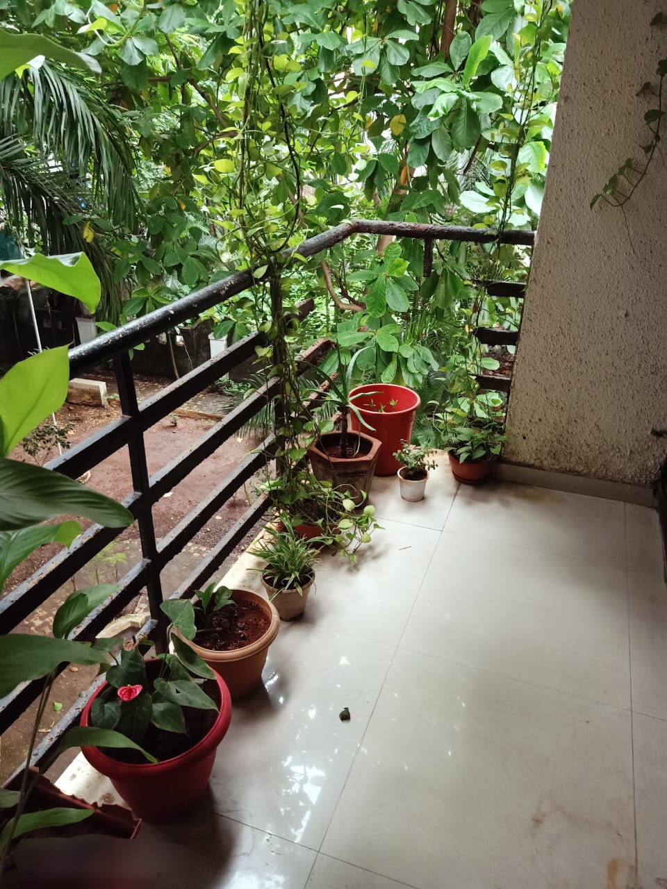 2 BHK Apartment For Sale in Shree Drushti