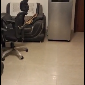 2 BHK Apartment For Rent in Supertech Eco Suites, Sector 137