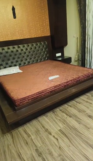 3 BHK Apartment For Rent in Emaar MGF The Palm Drive Villas, Sector 66