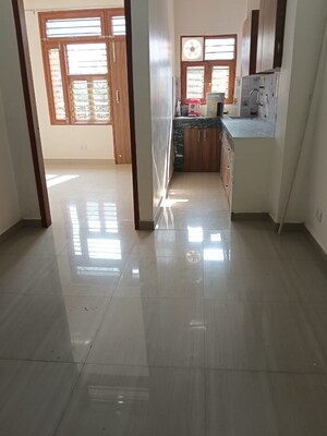 Building Lobby in 2 BHK Builder Floor at Ansal Plaza Sector-23, Sector 23 – for Rent