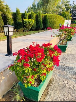   Plot at Wing Lucknow Greens Plots, Sultanpur Road – for Sale