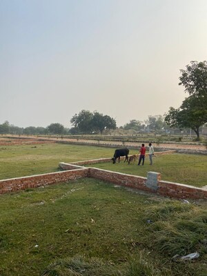 Plot Area in  Plot at Amethi – for Sale