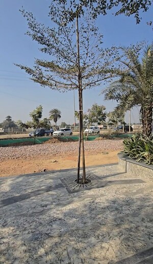 Plot Area in  Shop at Rise Retailia, Sector 1 Greater Noida – for Sale