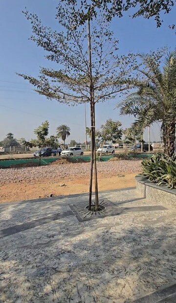 Plot Area in  Shop at Rise Retailia, Sector 1 Greater Noida – for Sale