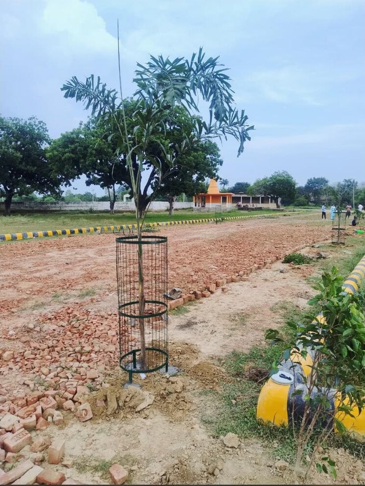 undefined, amethi  2500 Sq.Ft. Plot In Amethi Lucknow 9586156